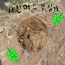 호남조경협회 | 2022 광주광역시 나무 나누어주기 교환 후기🌱