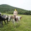 에코승마아카데미 네이버블로그