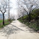 비슬로36길 이미지