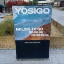 (주)제주복돈 | 서울 전시 요시고 사진전 2 후기~ 그라운드 시소 센트럴 주말 관람기