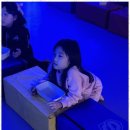 미르태권도장 이미지