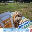 아채 | 맛과 영양, 강아지 입맛까지 꽉 잡은 본아페티 동결건조 아채믹스 후기