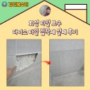 다이소화성 | 화성 타일 보수 다이소 타일 접착제 실패 후기