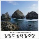삼척 장호항 펜션과 스노쿨링 장소 후기 :D
