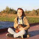 곡성-137 이미지