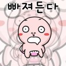 와일드복싱짐 안양관 이미지