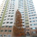 구암동102 이미지