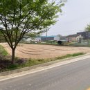 여주-1066 이미지