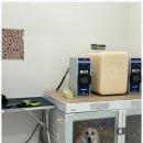 오늘더빛나개 이미지