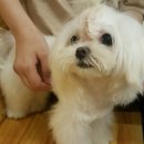 요나까페