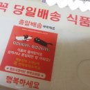 도기부기 이미지