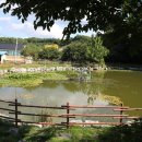 반기문평화랜드 이미지