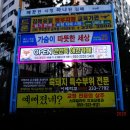 맨앤독 애견카페 이미지