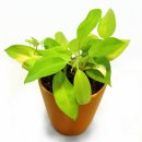 달이농장 이미지