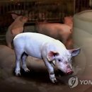 연합가축인공수정센타 이미지