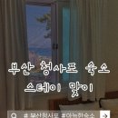 삼아교통(유) | [ 부산 청사포 숙소 : 스테이 맞이 ] 후기 🌊
