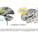 붓다와 뇌과학 18 | 의근의 신경과학 이미지