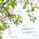 화요일 - 안양시 동안구 동편로27번길 26-12 | 화요일