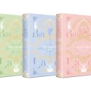 레이디폼 이미지