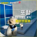 어보브 블루 B 이미지