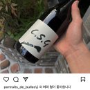 오트란 이미지