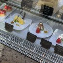 더엠브로시아 이미지