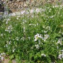 파도농장 이미지