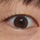 드는 | [대전둔산동 속눈썹펌] 유이오뷰티 인생역대급 맘에드는 속눈썹펌 후기