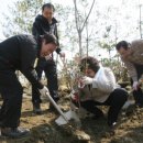 해피트리어린이집 이미지