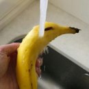 바나나 날파리 안 생기게 2주간 보관하는 방법 이미지