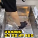 주안냉삼 이미지