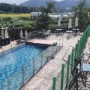 어라운드펫스쿨 이미지