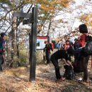 대통령공원 진돗개 이미지