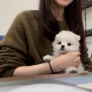 제이메드코리아 이미지