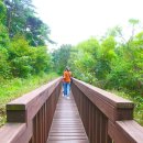 갯벌소리 이미지