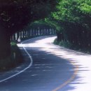 운수농장 네이버블로그