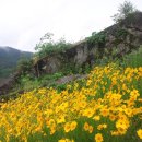 매밑농장 이미지