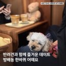 도구머리공원1-21 | 반려견과 함께 방배동 탐험하기! 애견동반 브런치와 도구머리공원 노을 산책 추천