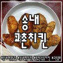송내역 치킨 :: 교촌치킨 송내로데오점 _ 오리지널 콤보, 레드 콤보