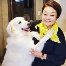 빅마마 서울신문
