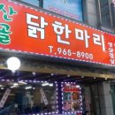 산골닭한마리