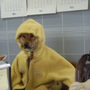 (유)유진 Daum카페