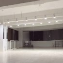 하와이안훌라 이미지