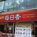매일향 이미지