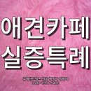 마일스톤 행정사 정항아 사무소 | 반려동물 동반 음식점 애견카페 실증특례 신청 및 개정 안내 행정사