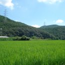 상동 태양광발전소 이미지