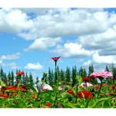 계양아라온 축제... 이미지