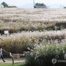 은빛으로