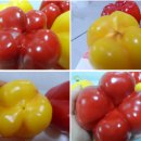 파프리카 조형물 이미지