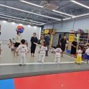 장광재 박사 태권도 이미지